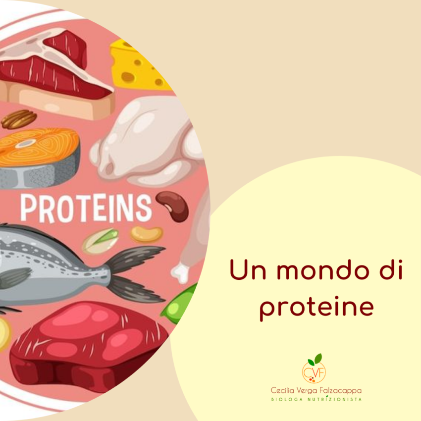 Proteine: davvero necessarie o bisogno indotto? Fabbisogno, fonti e consigli